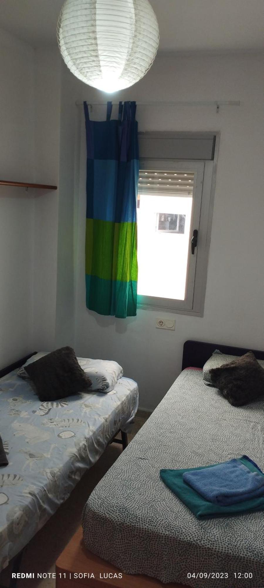 Disfruta Granada,Incluso Con Tu Mascota Parking Lägenhet Exteriör bild