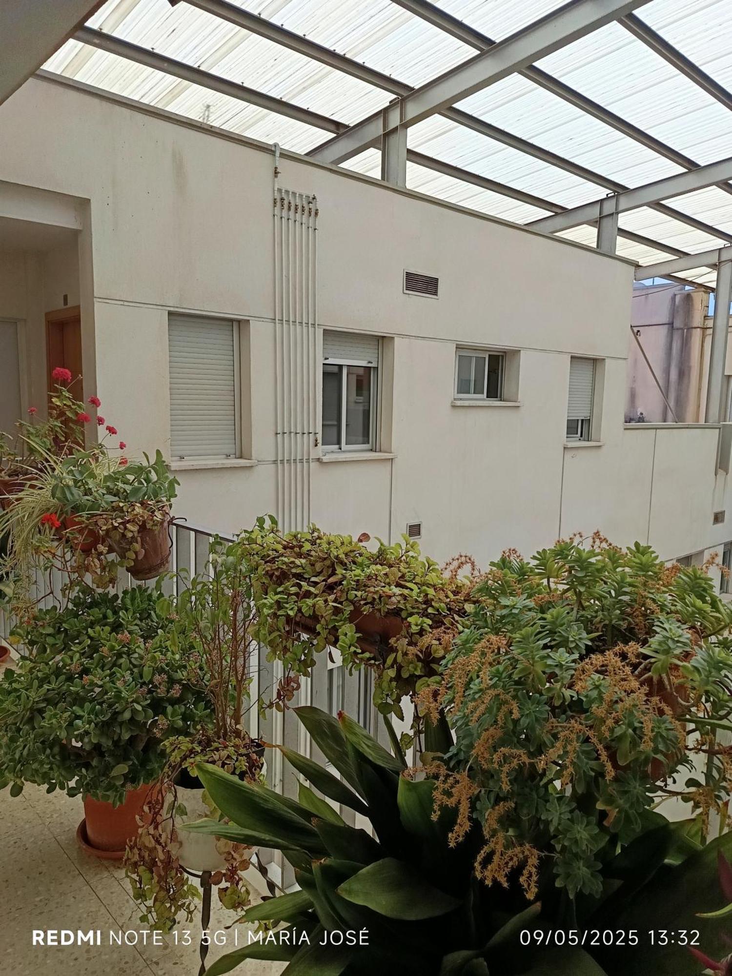 Disfruta Granada,Incluso Con Tu Mascota Parking Lägenhet Exteriör bild